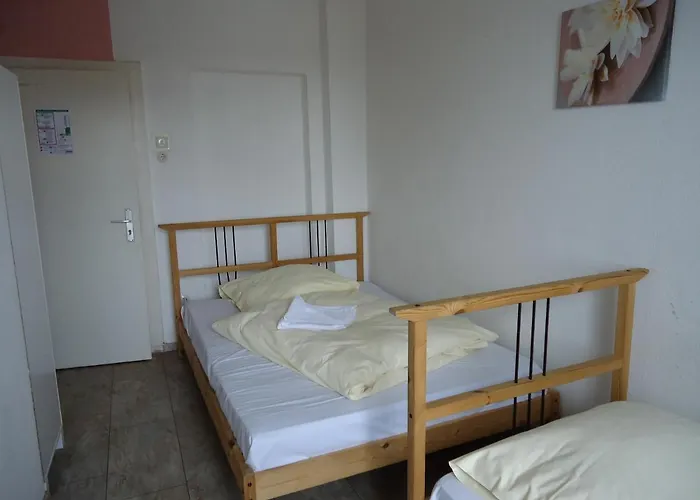 Schaum 2*